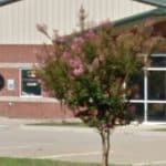 Denton, Zachary, And Norwood Pllc – Motor Vehicle Accident Lawyers in Conway, Arkansas