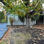 Goin Law Group Llc – Motor Vehicle Accident Lawyers in West Linn, OR