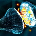 Neurological Institute Of Los Angeles – Motor Vehicle Accident Lawyers in Beverly Hills, Los Angeles