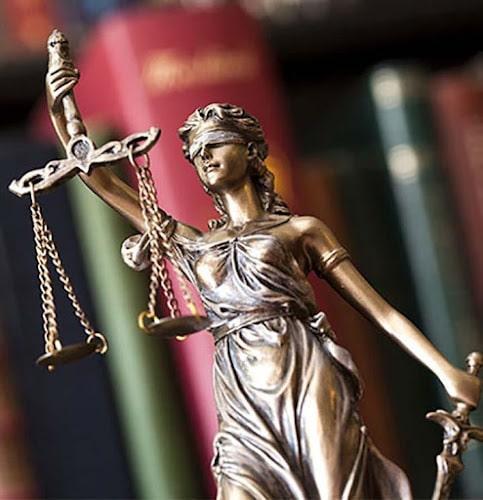 Negocio Oleen Law Firm
